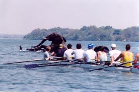 elephant & rowers